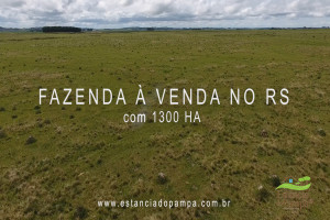 Criado em galpão-Os Serranos [VDownloader].00_00_45_21.Quadro011_bbfe8aa1b0e3119d8138bb89bed02195607408aa.jpg